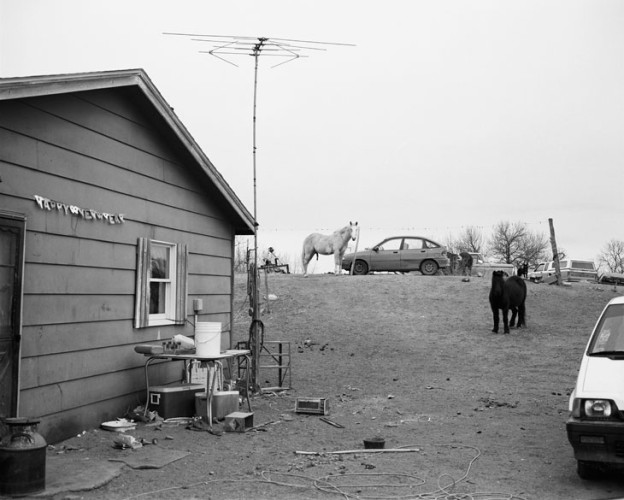 New Year’s Day, Duane Reddest’s Home, Lost Dog Creek, 2002