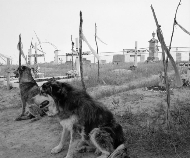 The Mass Gravesite At Wounded Knee From The Massacre Of 1890, 2002